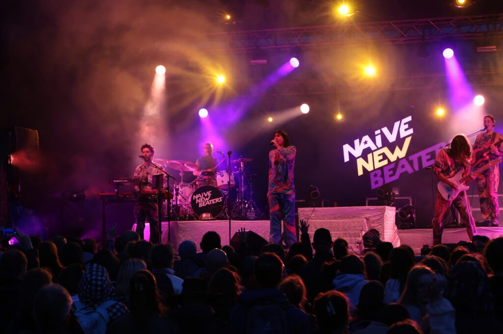 Naive New Beaters en concert dans le Val d'Oise